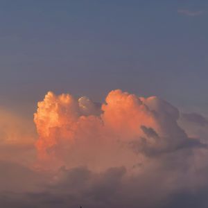 花10000初一女生高考成绩
